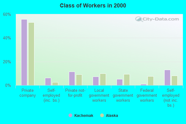 Class of Workers in 2000