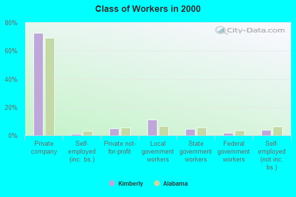 Class of Workers in 2000