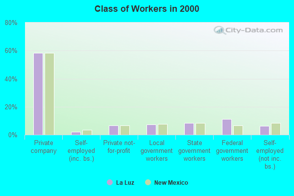 Class of Workers in 2000