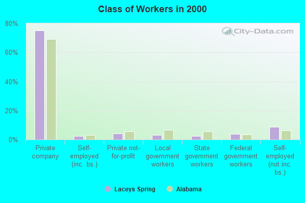 Class of Workers in 2000