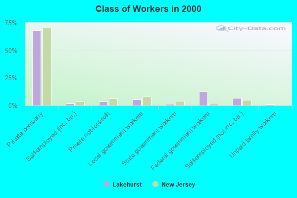 Class of Workers in 2000