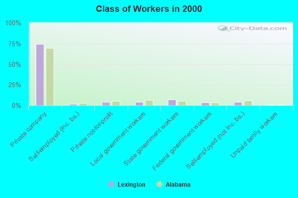 Class of Workers in 2000