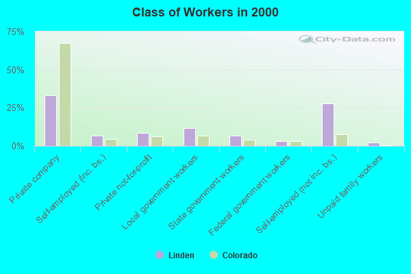 Class of Workers in 2000