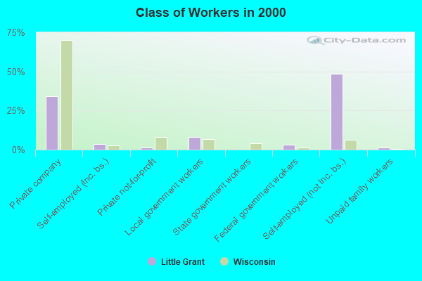 Class of Workers in 2000