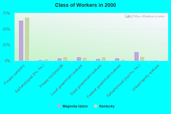 Class of Workers in 2000