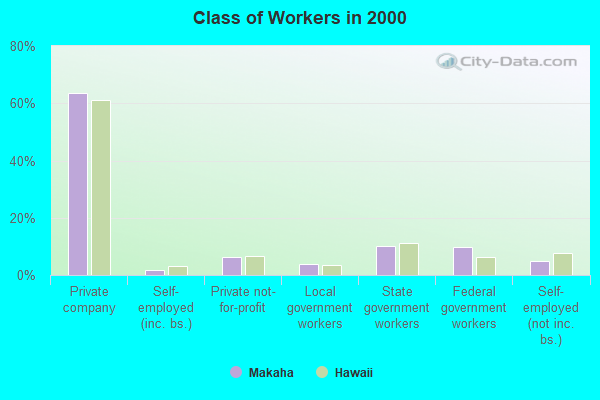 Class of Workers in 2000