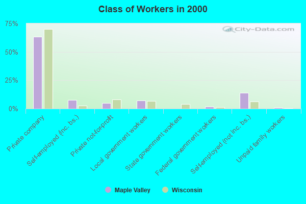 Class of Workers in 2000