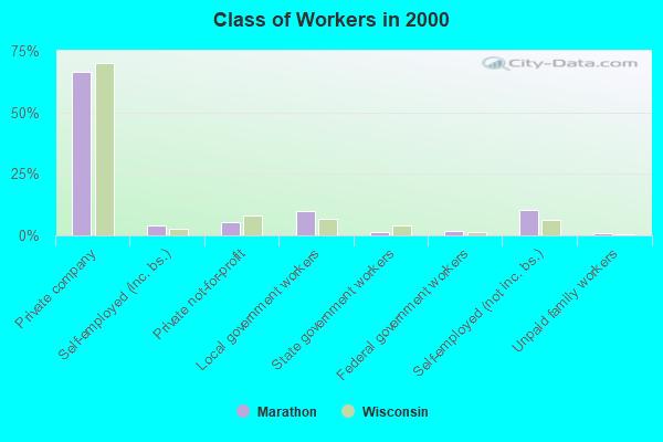 Class of Workers in 2000