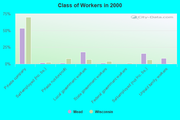 Class of Workers in 2000