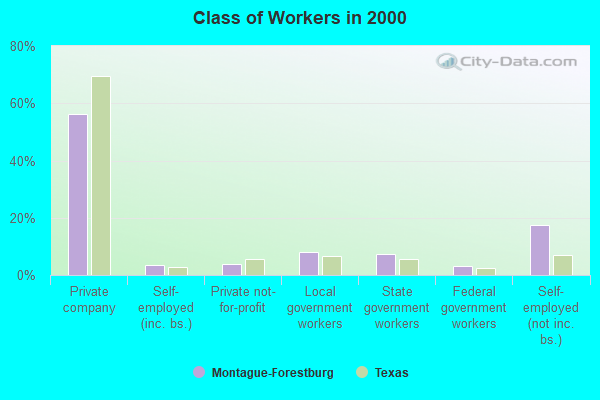 Class of Workers in 2000