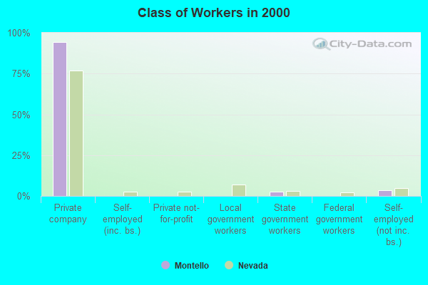 Class of Workers in 2000