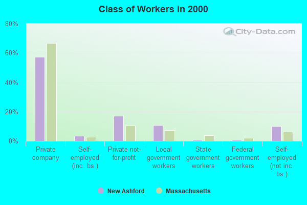 Class of Workers in 2000