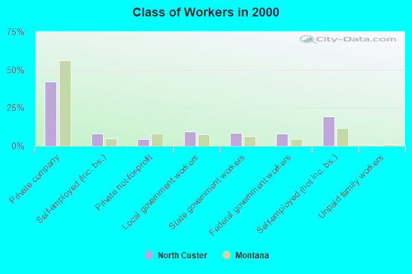 Class of Workers in 2000