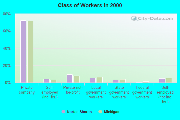 Class of Workers in 2000