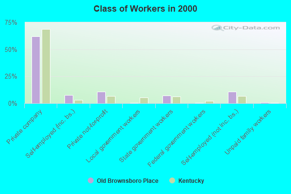 Class of Workers in 2000