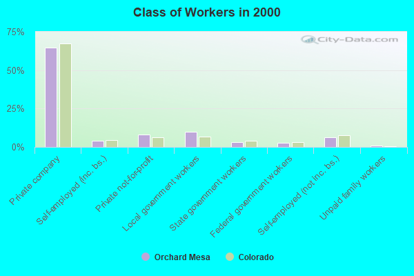 Class of Workers in 2000