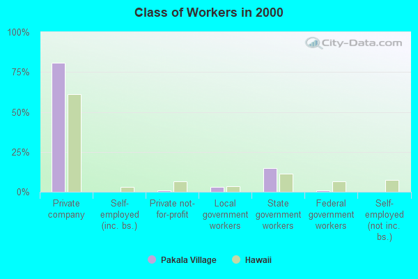 Class of Workers in 2000