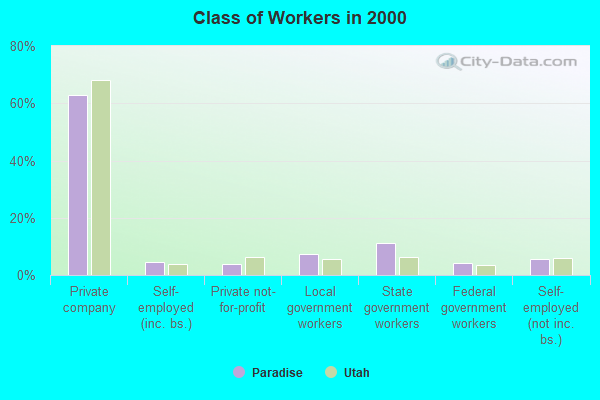 Class of Workers in 2000