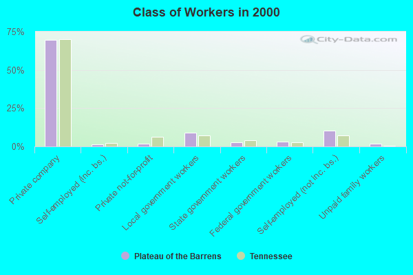 Class of Workers in 2000