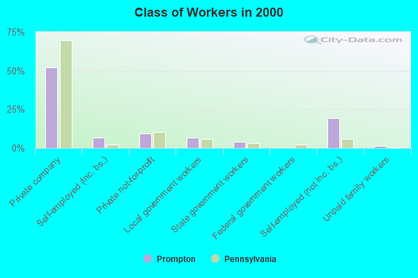 Class of Workers in 2000