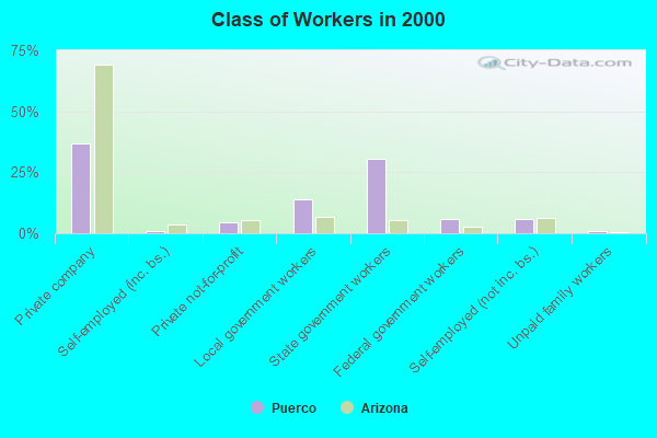 Class of Workers in 2000