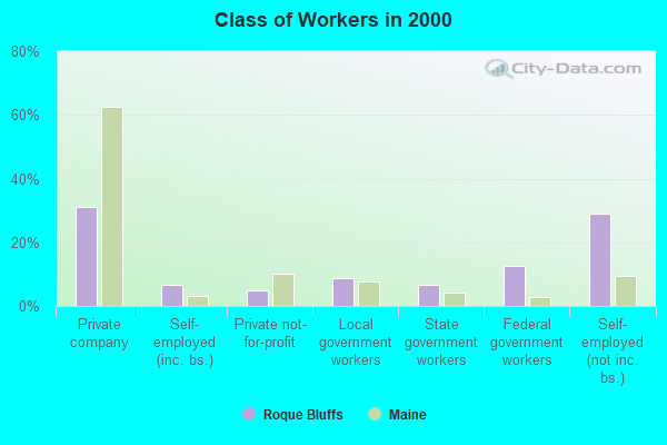 Class of Workers in 2000