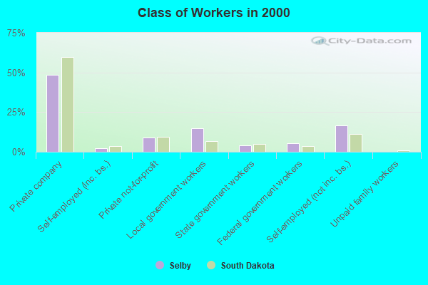 Class of Workers in 2000