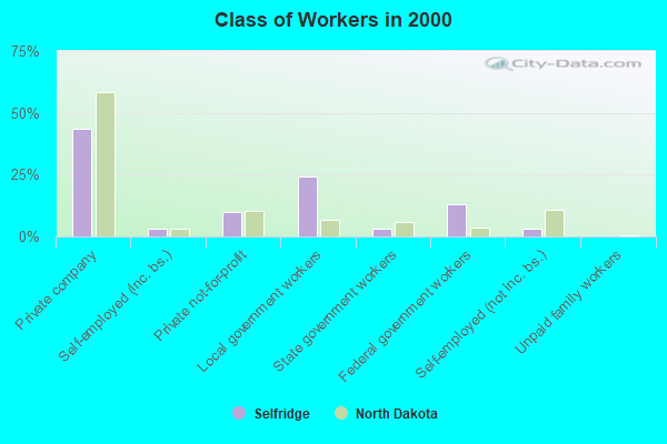 Class of Workers in 2000