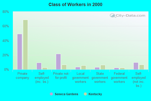 Class of Workers in 2000