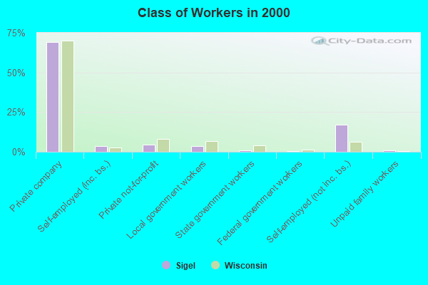 Class of Workers in 2000