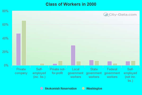 Class of Workers in 2000