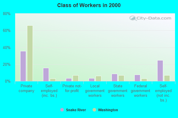 Class of Workers in 2000