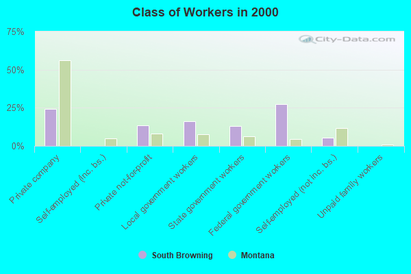 Class of Workers in 2000