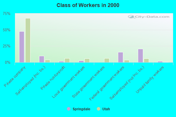 Class of Workers in 2000