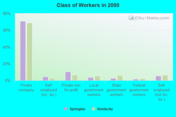 Class of Workers in 2000