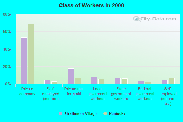 Class of Workers in 2000