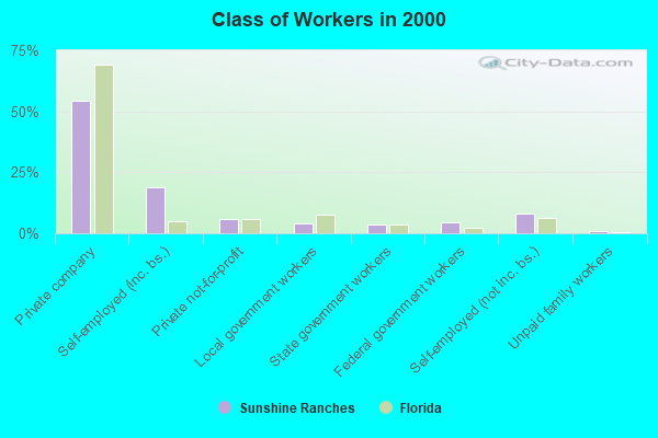 Class of Workers in 2000