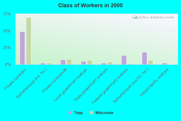 Class of Workers in 2000