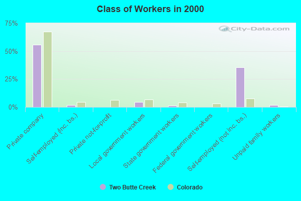 Class of Workers in 2000