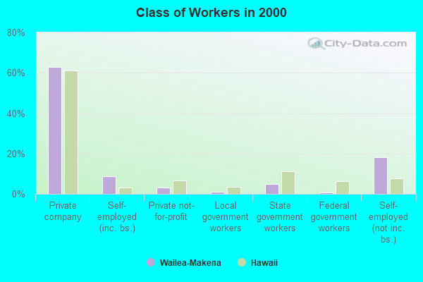 Class of Workers in 2000