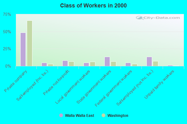 Class of Workers in 2000