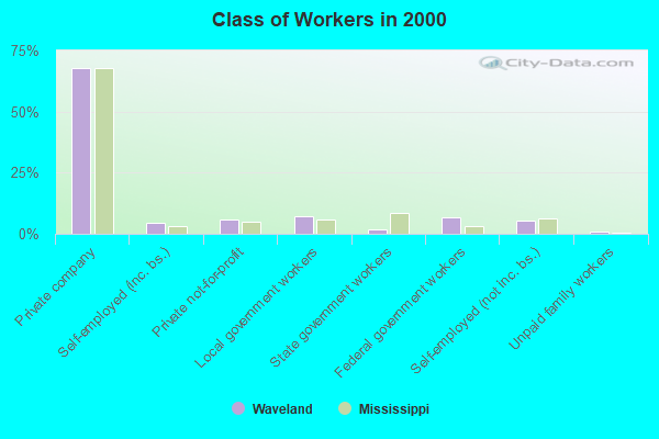 Class of Workers in 2000