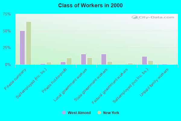 Class of Workers in 2000