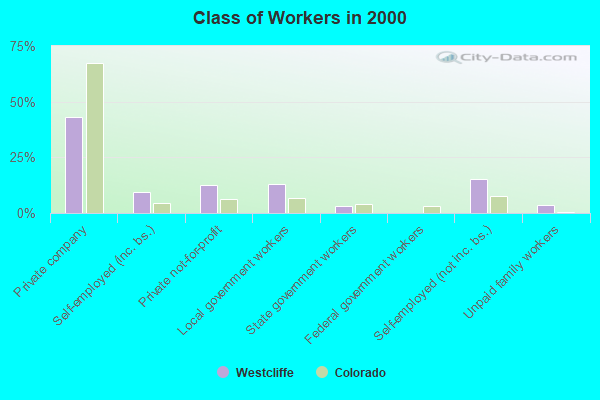 Class of Workers in 2000