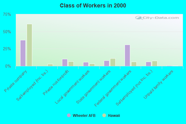 Class of Workers in 2000