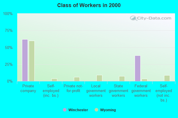 Class of Workers in 2000