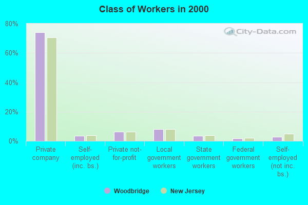 Class of Workers in 2000