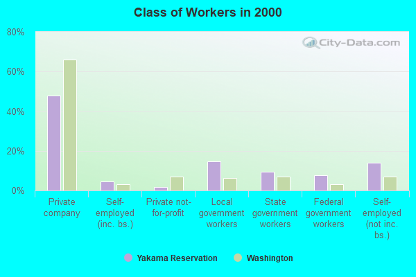 Class of Workers in 2000