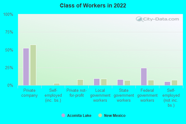 Class of Workers in 2022