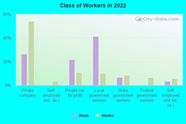 Class of Workers in 2022